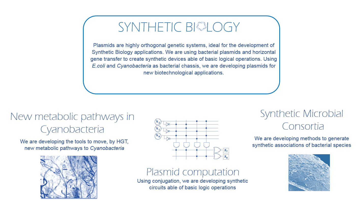 Ecology and evolution